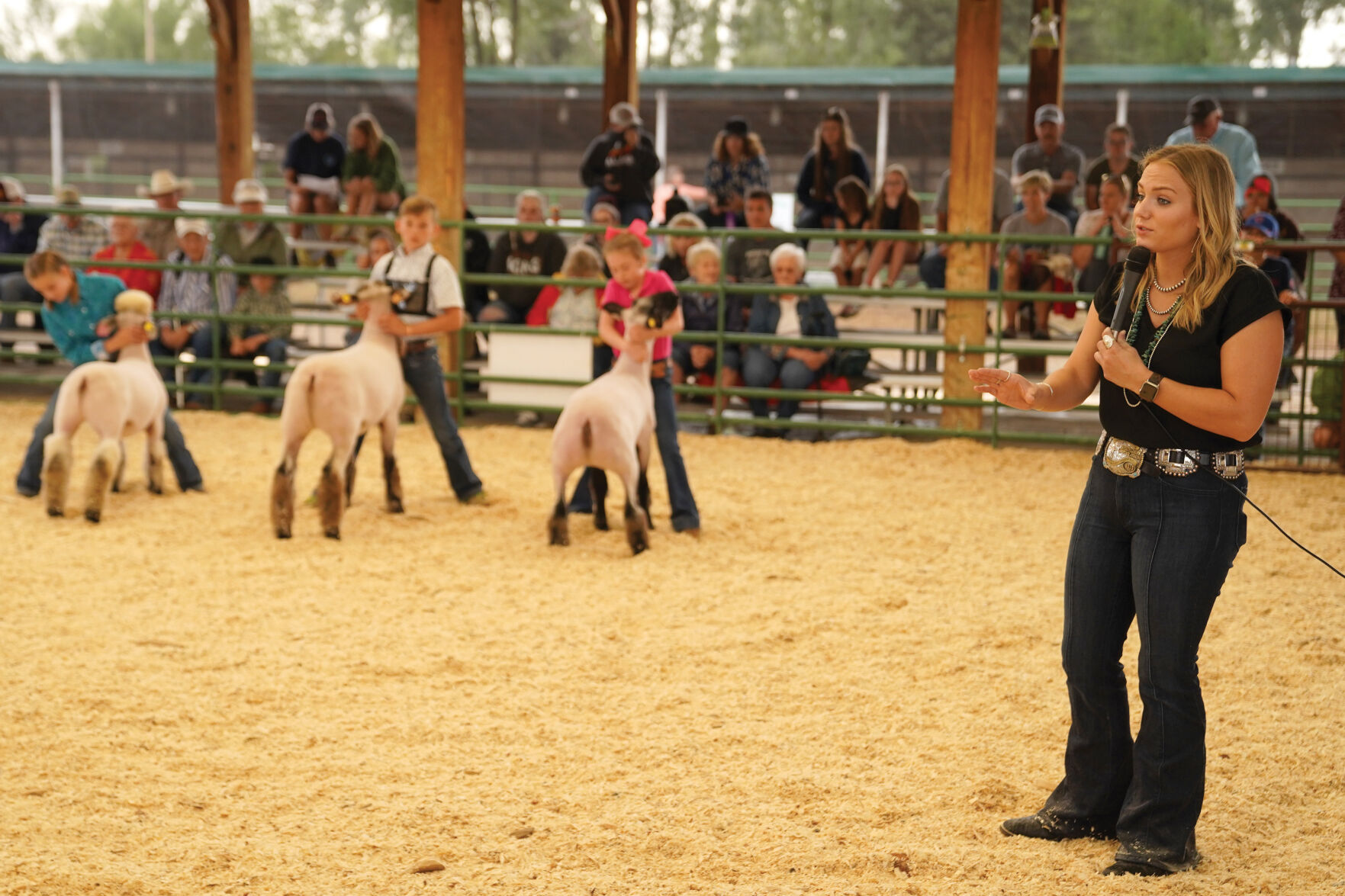Sheep Show Standalones 005.jpg
